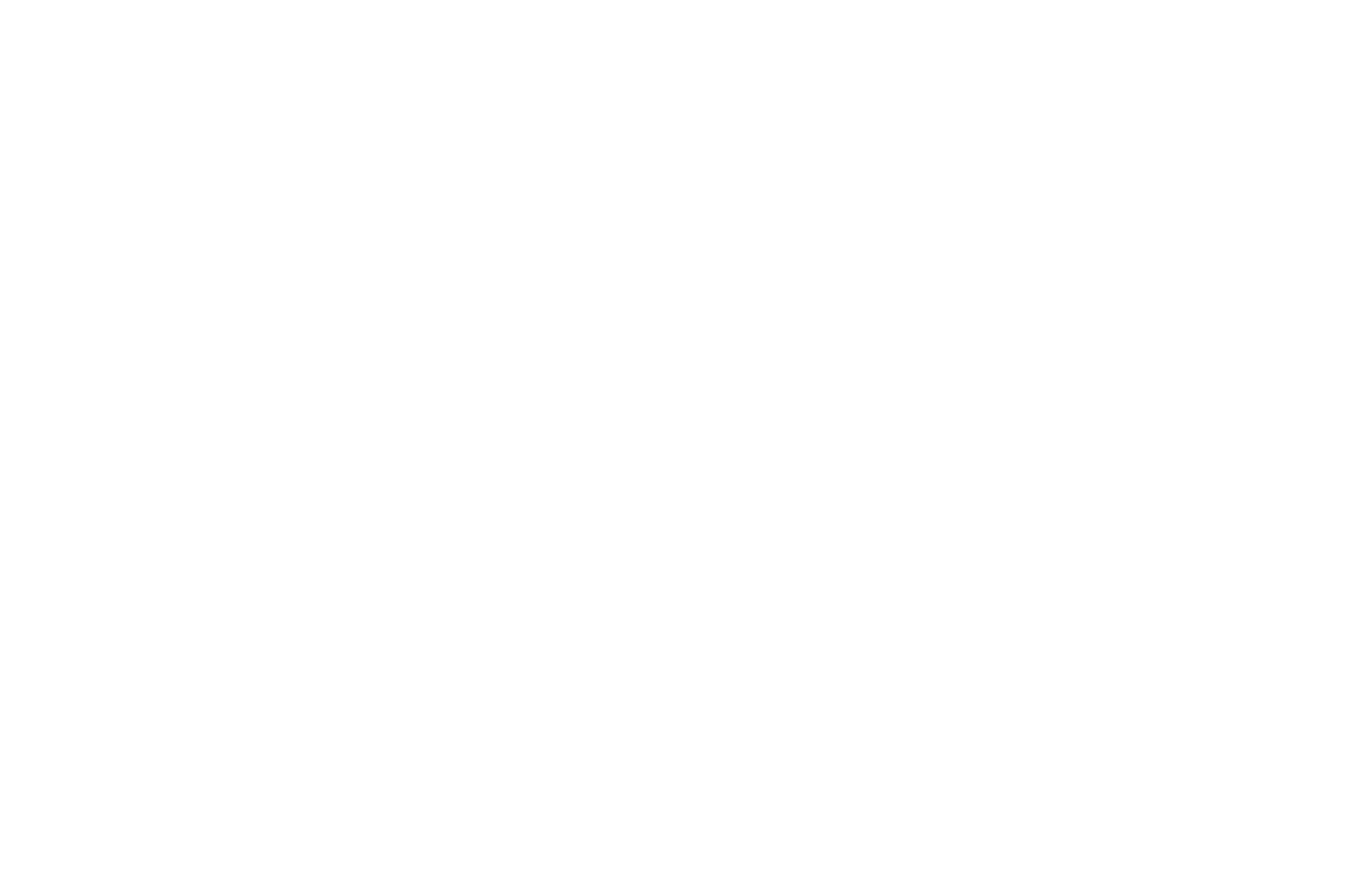Transportes Verse Logo